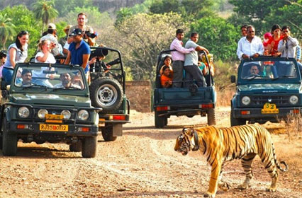 Nainital Bhimtal Jim Corbett National Park & Haridwar Tour