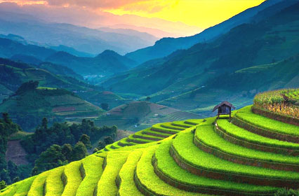 Nainital Bhimtal Almora Kausani Jim Corbett National Park Tour